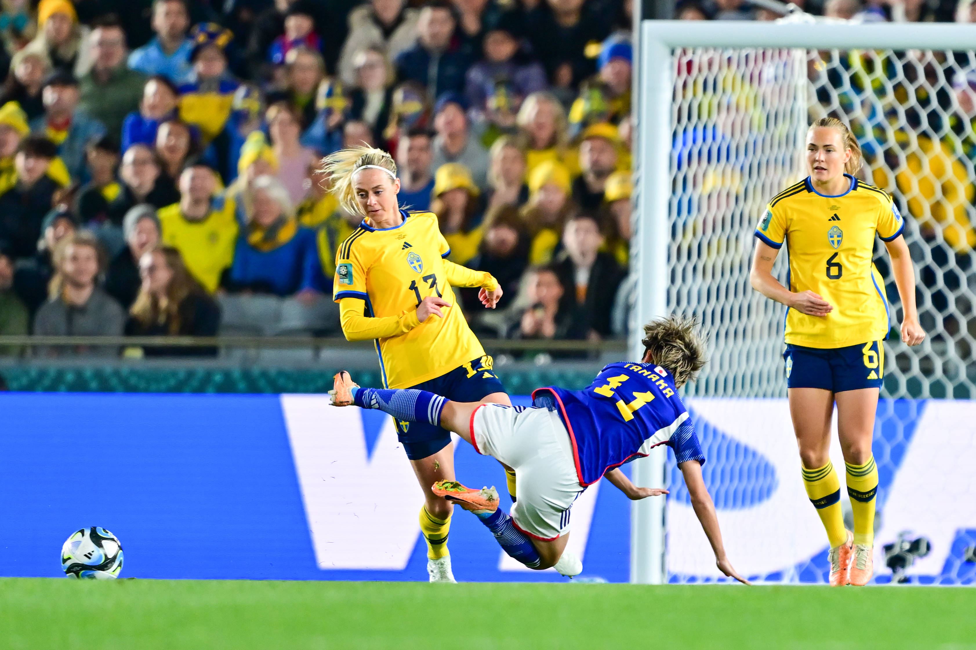 瑞典队力克韩国队，波尔关键制胜的简单介绍