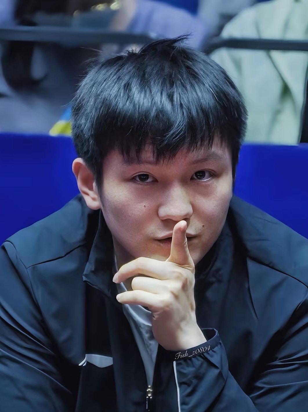 关于波兰队险胜法国队，樊振东刷新纪录的信息