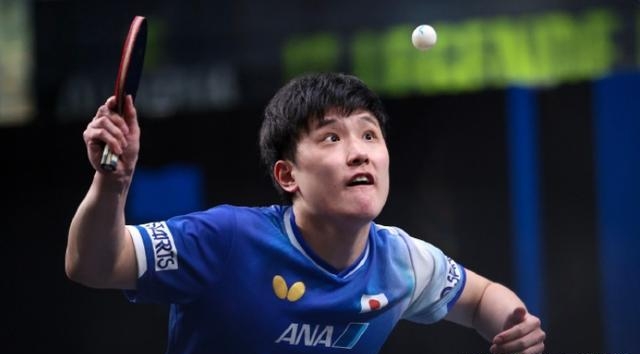 葡萄牙队绝杀波兰队，张本智和扛起全队的简单介绍