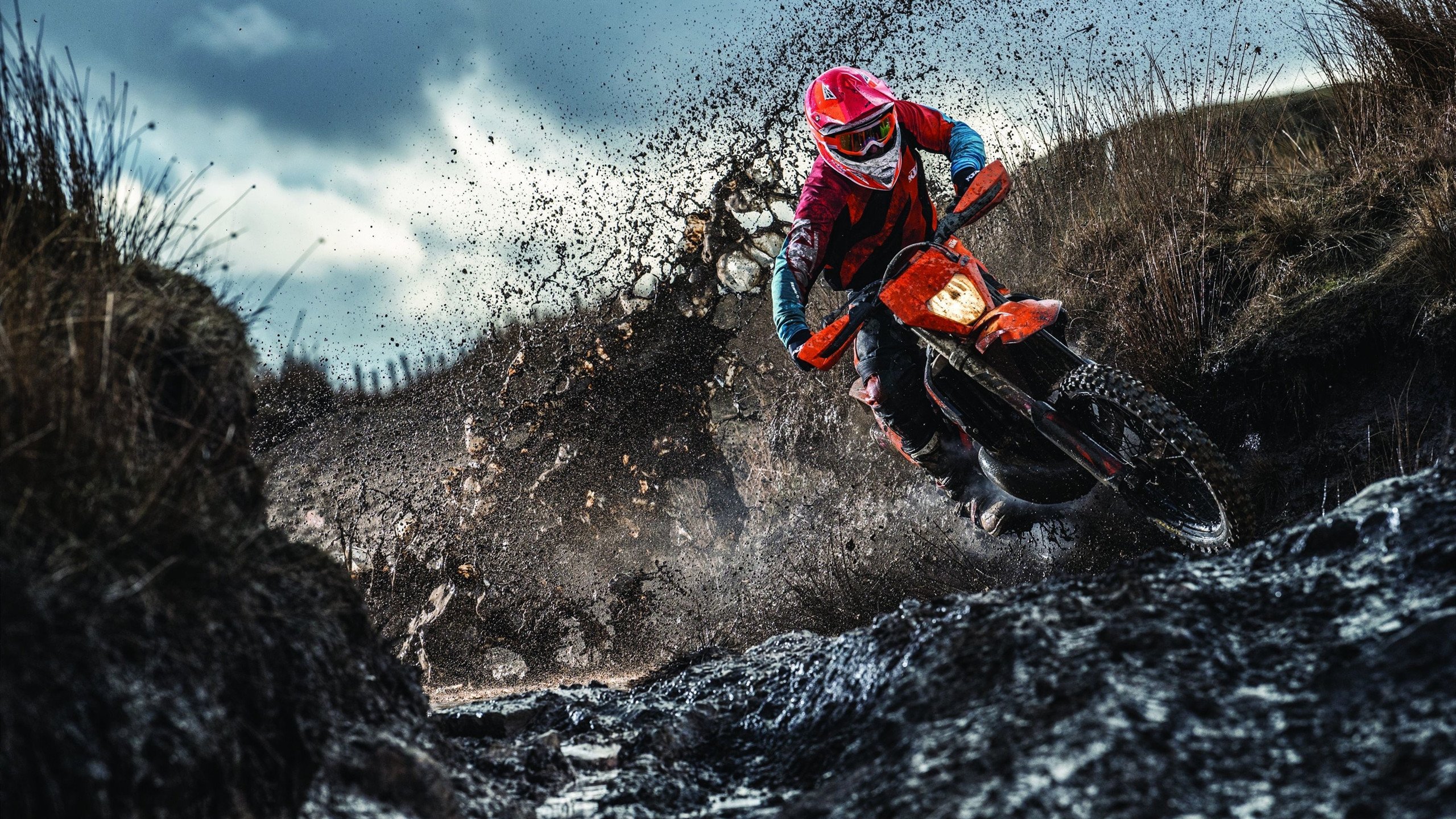 福克斯末节狂飙定乾坤,广东队攻防碾压灰熊显冠军底蕴